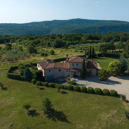 Villa Labin In Zartinj - Luxury Privacy Heated Pool With Auto Cover Exterior foto
